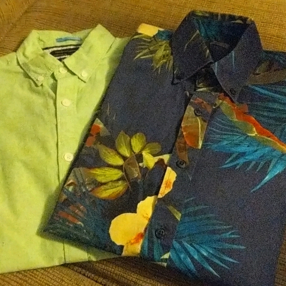🆕2 Mens shirts